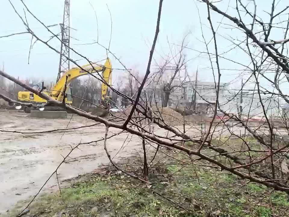       &quot;  &quot;   80%