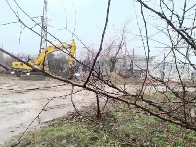  ,      , ,   ,   80%