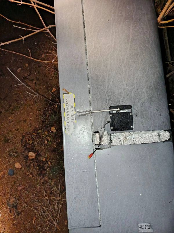 ��������� ����������� ����������� ���� ���� � ��������� � �������� ��������