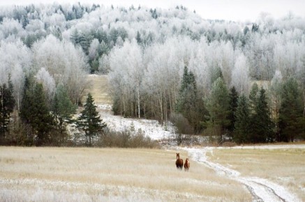  , !. 159    10       ,   