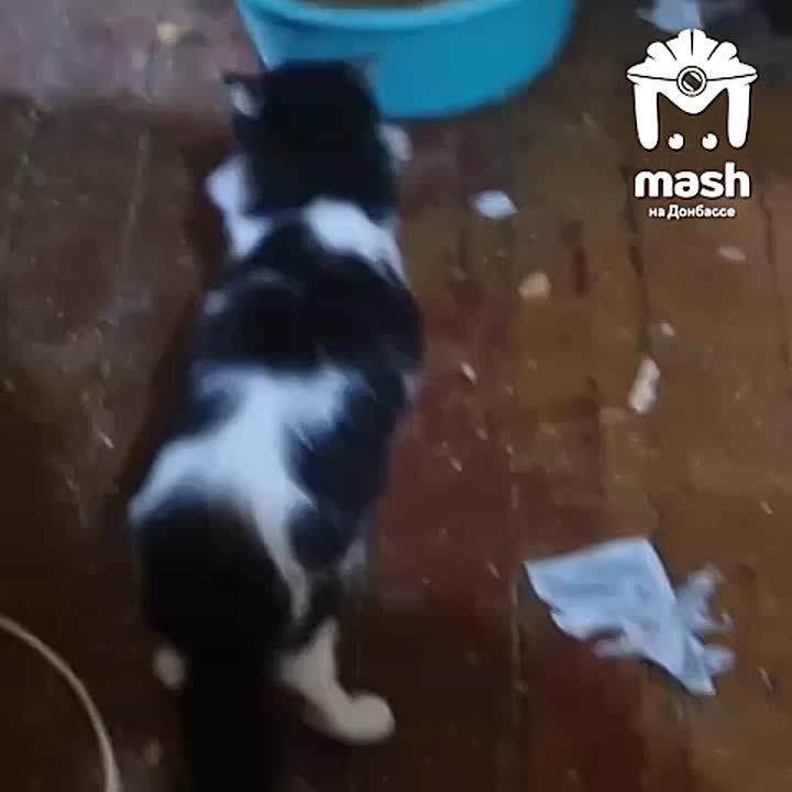 ��������� �������� ��������� ������������ � ���, ��� ��� ������� ������ 25 ����� � ��������