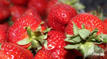 �������� ������������ ���������� ��������� ������������ �� ����������� �������� � �����������