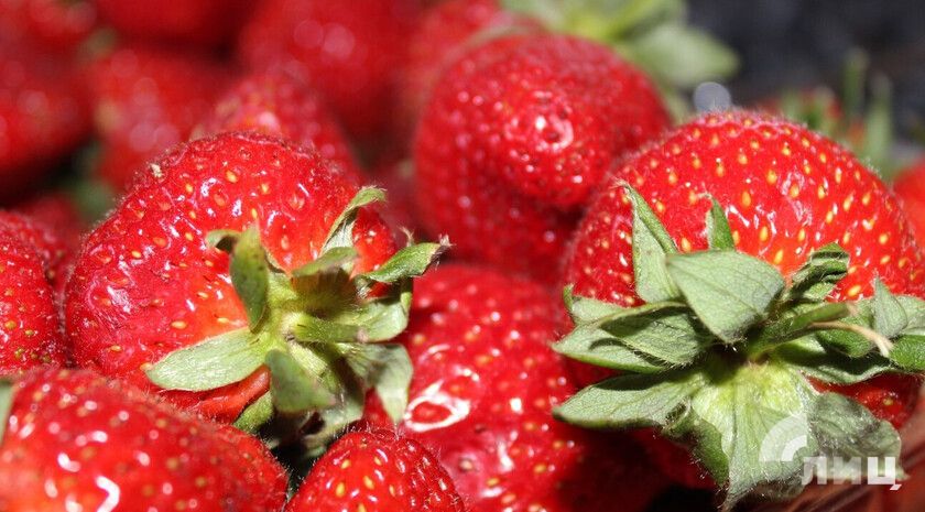 �������� ������������ ���������� ��������� ������������ �� ����������� �������� � �����������