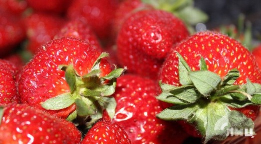 �������� ������������ ���������� ��������� ������������ �� ����������� �������� � �����������