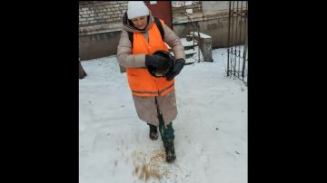 Сегодня специалисты МУП «Служба дорожного хозяйства и благоустройства города Алчевска ЛНР», Алчевского филиала Единой управляющей компании проводили работы по обработке противогололедными материалами проезжих частей, ...
