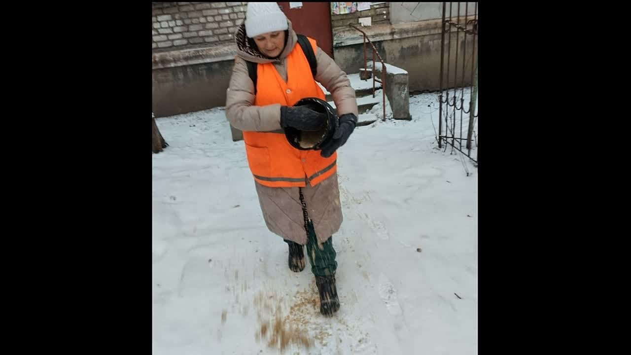 Сегодня специалисты МУП «Служба дорожного хозяйства и благоустройства города Алчевска ЛНР», Алчевского филиала Единой управляющей компании проводили работы по обработке противогололедными материалами проезжих частей, ...