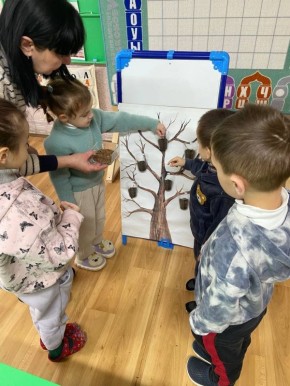 Посадили огород. посмотрите, что растёт!