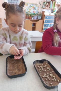 Зима — не повод забывать о природе и растениях