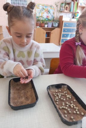 Зима — не повод забывать о природе и растениях