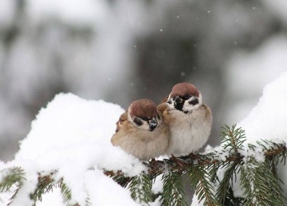 ������ ����, �������!. �������, 5 �������, � ���� ������-������������