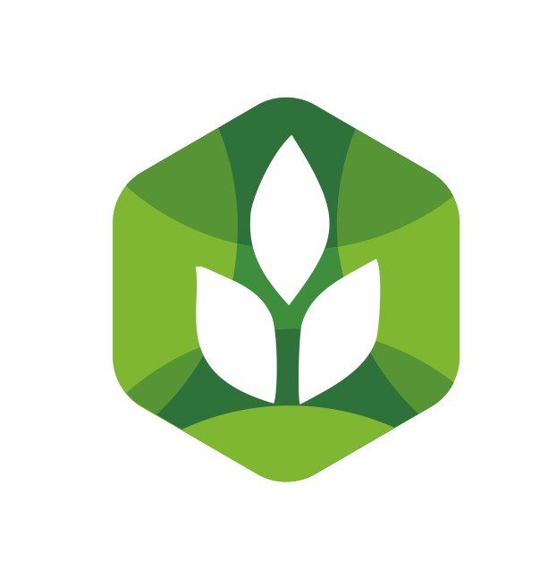 ������������ ��������� ��������� � �������������� ��������� �������� ���������� �����������