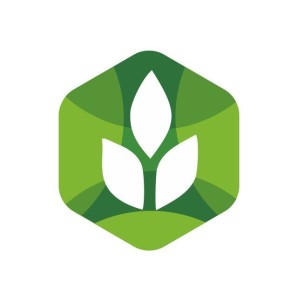 ������������ ��������� ��������� � �������������� ��������� �������� ���������� �����������