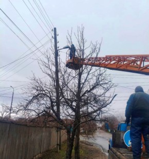 ������������� �������� ��������� ������ �� ���������� ������