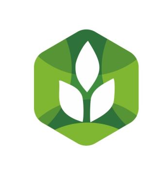 ������������ ��������� ��������� � �������������� ��������� �������� ���������� �����������