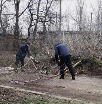 ������������� �������� ��������� ������ �� ���������� ������