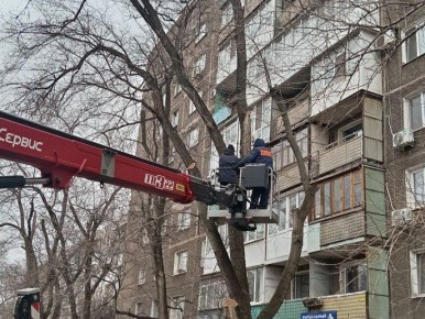 Коммунальными службами проведены работы на территории города