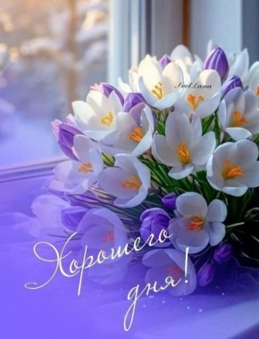 17 ����� �������� � ����� �������� � ����� �����������