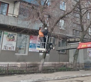 ������������� �������� ��������� ������ �� ���������� ������