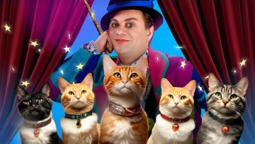 Театр кошек Куклачёва едет с гастролями в Донбасс