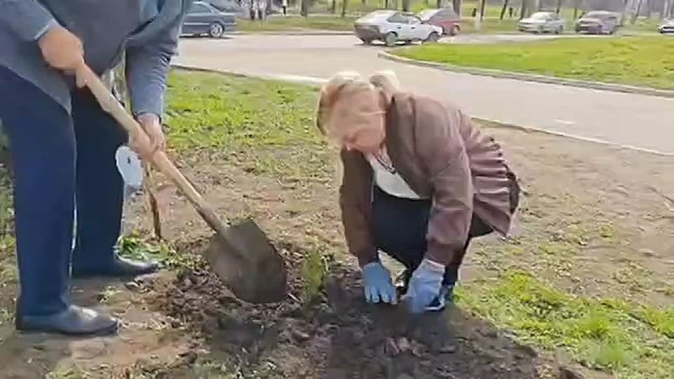 Светлана Гребенькова: В знак вечной памяти и благодарности: Алчевск присоединился к Международной акции «Сад памяти»
