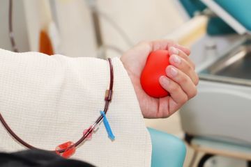 � ��� ������������ ������������ ������ �����