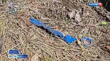 � �������� ��������� ����������� �� �������, ��������� � ����������� ������