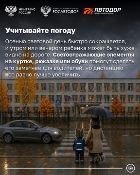 Водители, готовы? Уже завтра начинается новый учебный год, а это значит, что на дорогах становится больше юных пешеходов